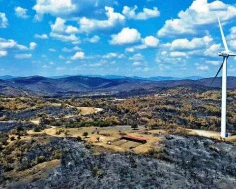 Αιολικά πάρκα σε περιοχή Natura στον Έβρο