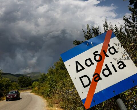 Δαδιά δασεργάτες απλήρωτοι