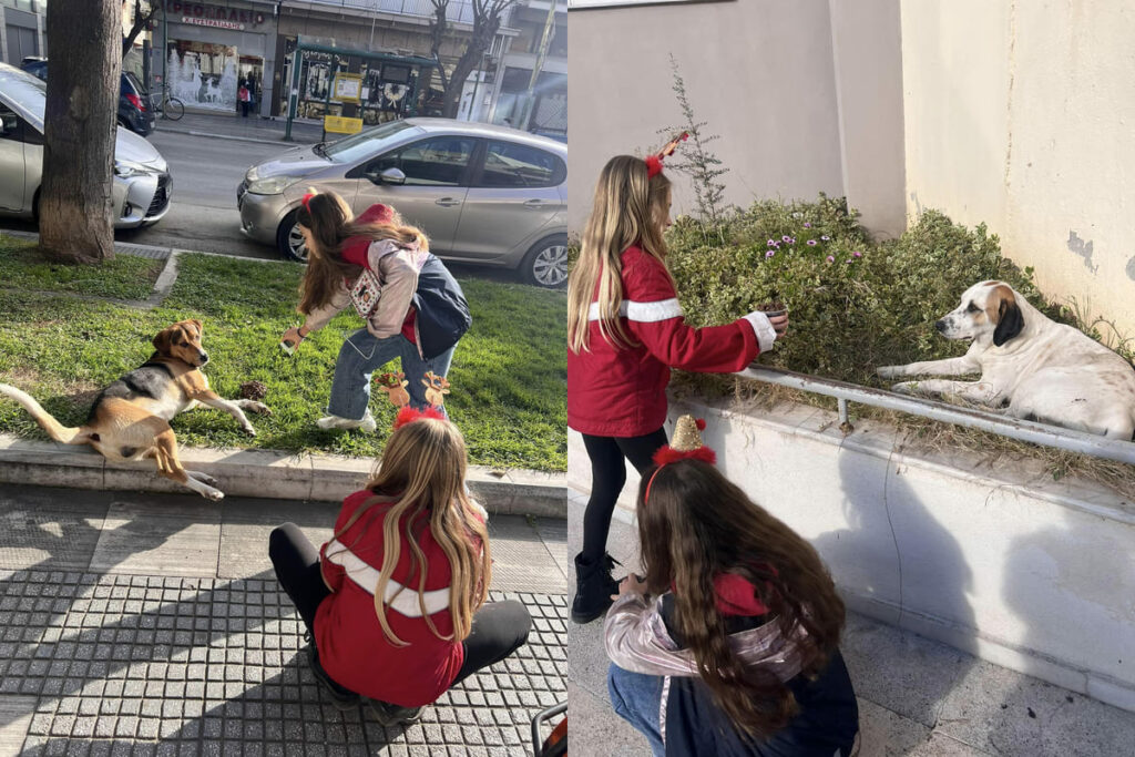 Παιδιά από την Αλεξανδρούπολη αγόρασαν τροφή για τα αδέσποτα με τα χρήματα από τα κάλαντα