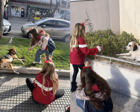 Παιδιά από την Αλεξανδρούπολη αγόρασαν τροφή για τα αδέσποτα με τα χρήματα από τα κάλαντα