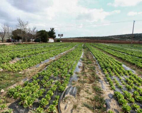 Αλεξανδρούπολη μικροί παραγωγοί αναδεικνύουν και προωθούν τα ελληνικά προϊόντα