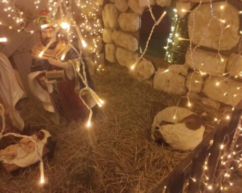 Αλεξανδρούπολη αδέσποτος σκύλος βρήκε καταφύγιο από το κρύο στην φάτνη του πάρκου των Χριστουγέννων