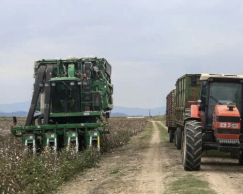 Εγκρίθηκαν οι 157 από τις 160 αιτήσεις αγροτών του Έβρου για Σχέδια Βελτίωσης