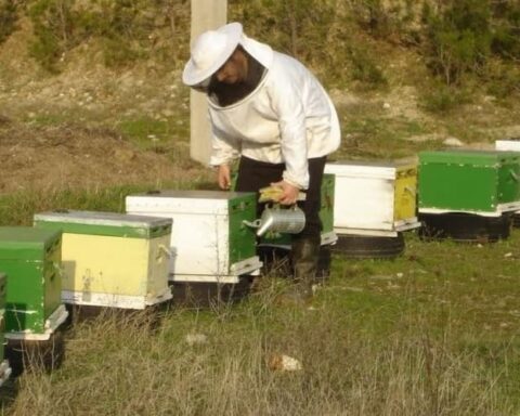 Μελισσοκόμοι Έβρου την άνοιξη μπορεί να μην υπάρχουν μελίσσια στον Έβρο