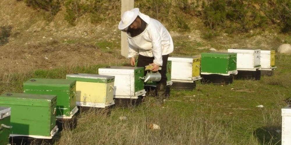 Μελισσοκόμοι Έβρου την άνοιξη μπορεί να μην υπάρχουν μελίσσια στον Έβρο