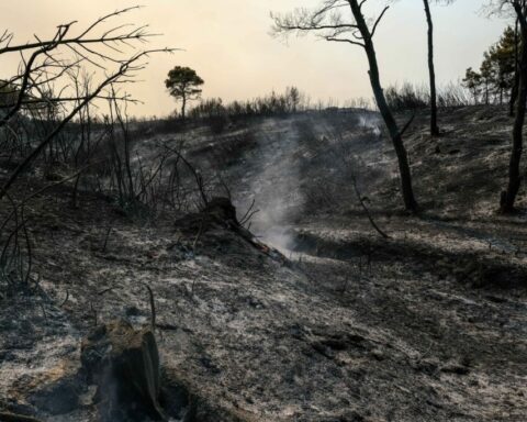 πλατφόρμα στήριξης κτηνοτρόφων και μελισσοκόμων