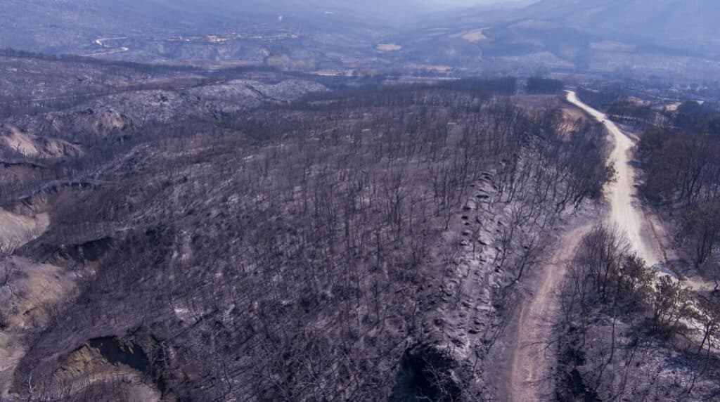 Κομισιόν η πυρκαγιά στον Εβρο ήταν η μεγαλύτερη στην Ευρώπη