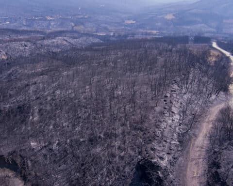 Κομισιόν η πυρκαγιά στον Εβρο ήταν η μεγαλύτερη στην Ευρώπη