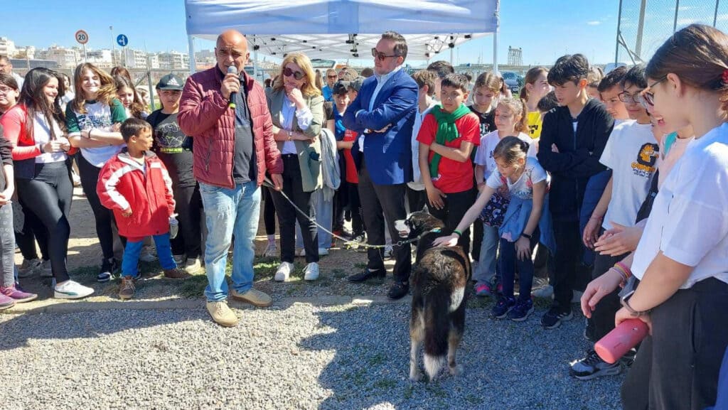 Παγκόσμια ημέρα αδέσποτων ζώων Δήμος Αλεξανδρούπολης
