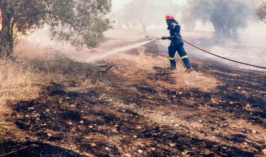 ψηφιακή πλατφόρμα για την ηλεκτρονική δήλωση των μέτρων Προληπτικής Πυροπροστασίας