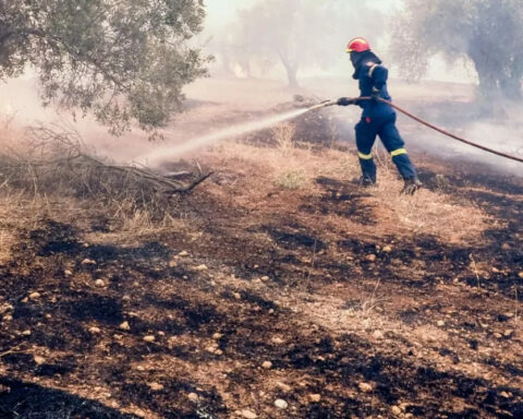 ψηφιακή πλατφόρμα για την ηλεκτρονική δήλωση των μέτρων Προληπτικής Πυροπροστασίας