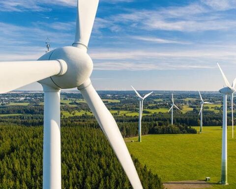 Αγώνας κατά των ανεμογεννητριών στο δάσος του Έβρου