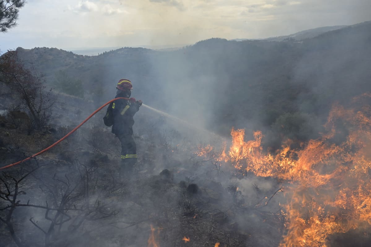 Η λανθασμένη διαχείριση της φωτιάς στον Έβρο και το μέλλον του δάσους