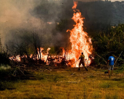 Υψηλός κίνδυνος πυρκαγιάς σήμερα στον Έβρο