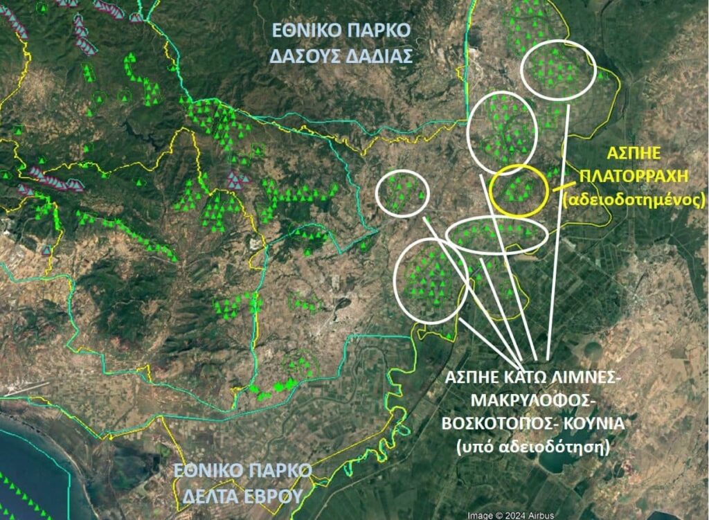 Δαδιά και Δέλτα Έβρου θα γεμίσουν ανεμογεννήτριες