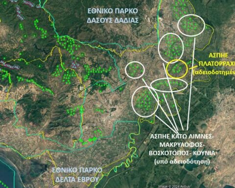 Δαδιά και Δέλτα Έβρου θα γεμίσουν ανεμογεννήτριες