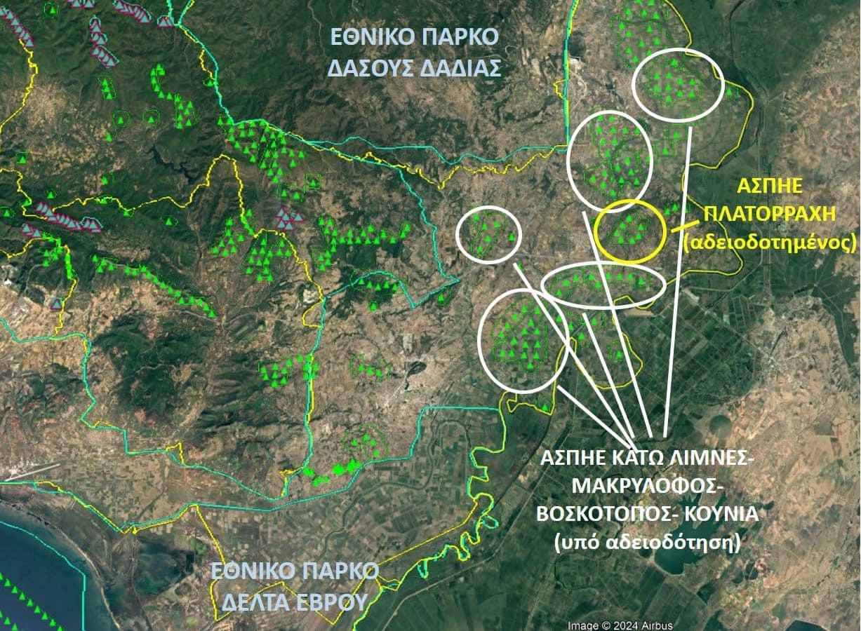 Δαδιά και Δέλτα Έβρου θα γεμίσουν ανεμογεννήτριες