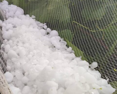 Χοντρό χαλάζι στον Έβρο ζημιές σε καλλιέργειες 