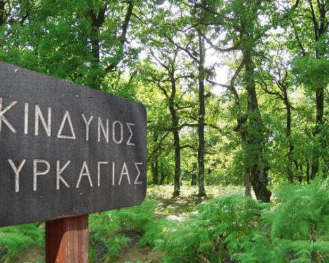 υψηλός κίνδυνος πυρκαγιάς 
