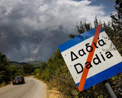 Η εικόνα στο Δάσος της Δαδιάς είναι πολύ πιο αισιόδοξη ένα χρόνο μετά την πυρκαγιά