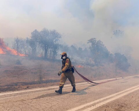 Πυρκαγιά κοντά στην περιφερειακή οδό της Αλεξανδρούπολης