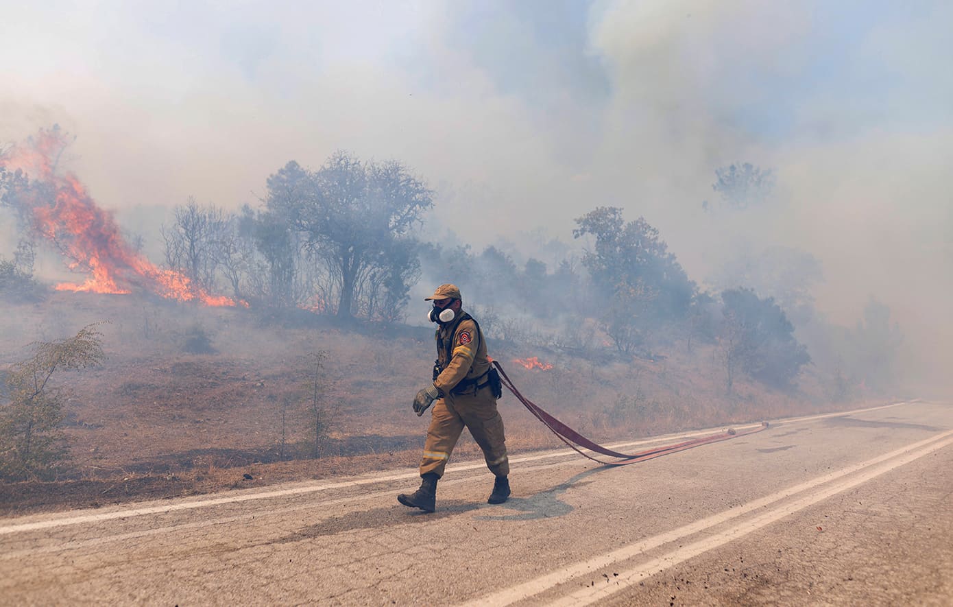 Πυρκαγιά κοντά στην περιφερειακή οδό της Αλεξανδρούπολης