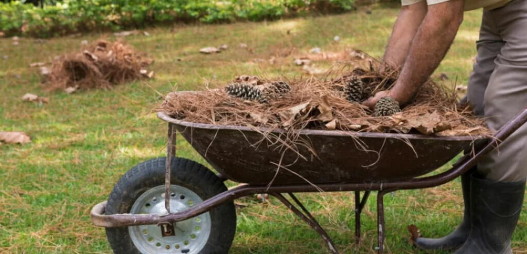 Καθαρισμός Οικοπέδων ιδιοκτήτες κινδυνεύουν με πρόστιμο 300 ευρώ παρότι τα καθάρισαν