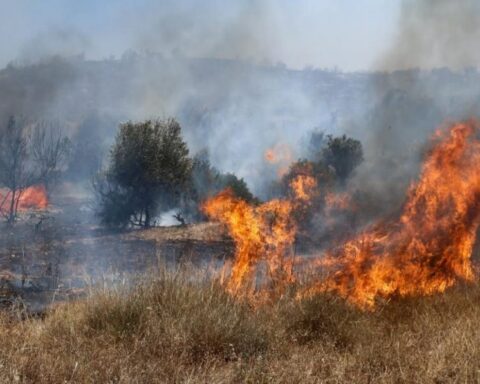 Πυρκαγιά στη Δαδιά Σουφλί
