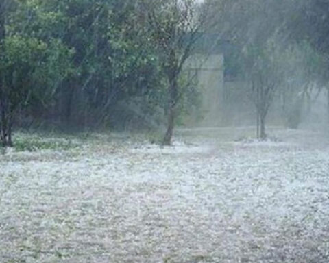 Αλεξανδρούπολη δήλωση αποζημίωσης από Χαλάζι