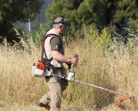 Καθαρισμός οικοπέδων παράταση για την υποβολή