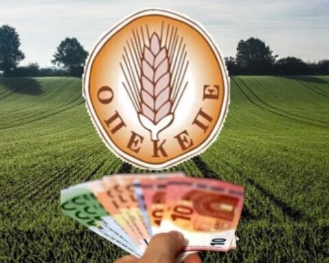 Σκάνδαλο ΟΠΕΚΕΠΕ και στον Έβρο